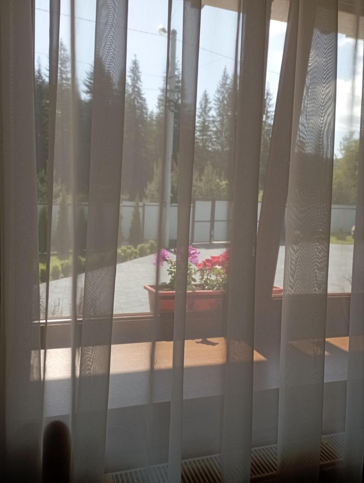 U Anastasii I Sofii Bilya Richki Mykulychyn Exterior foto