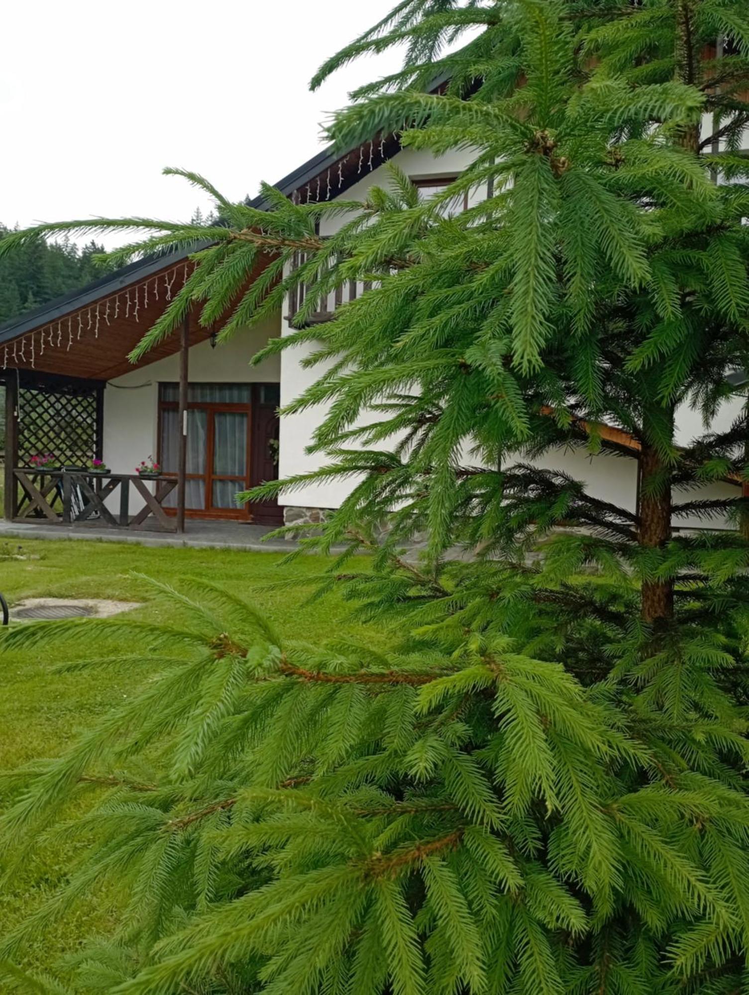U Anastasii I Sofii Bilya Richki Mykulychyn Exterior foto