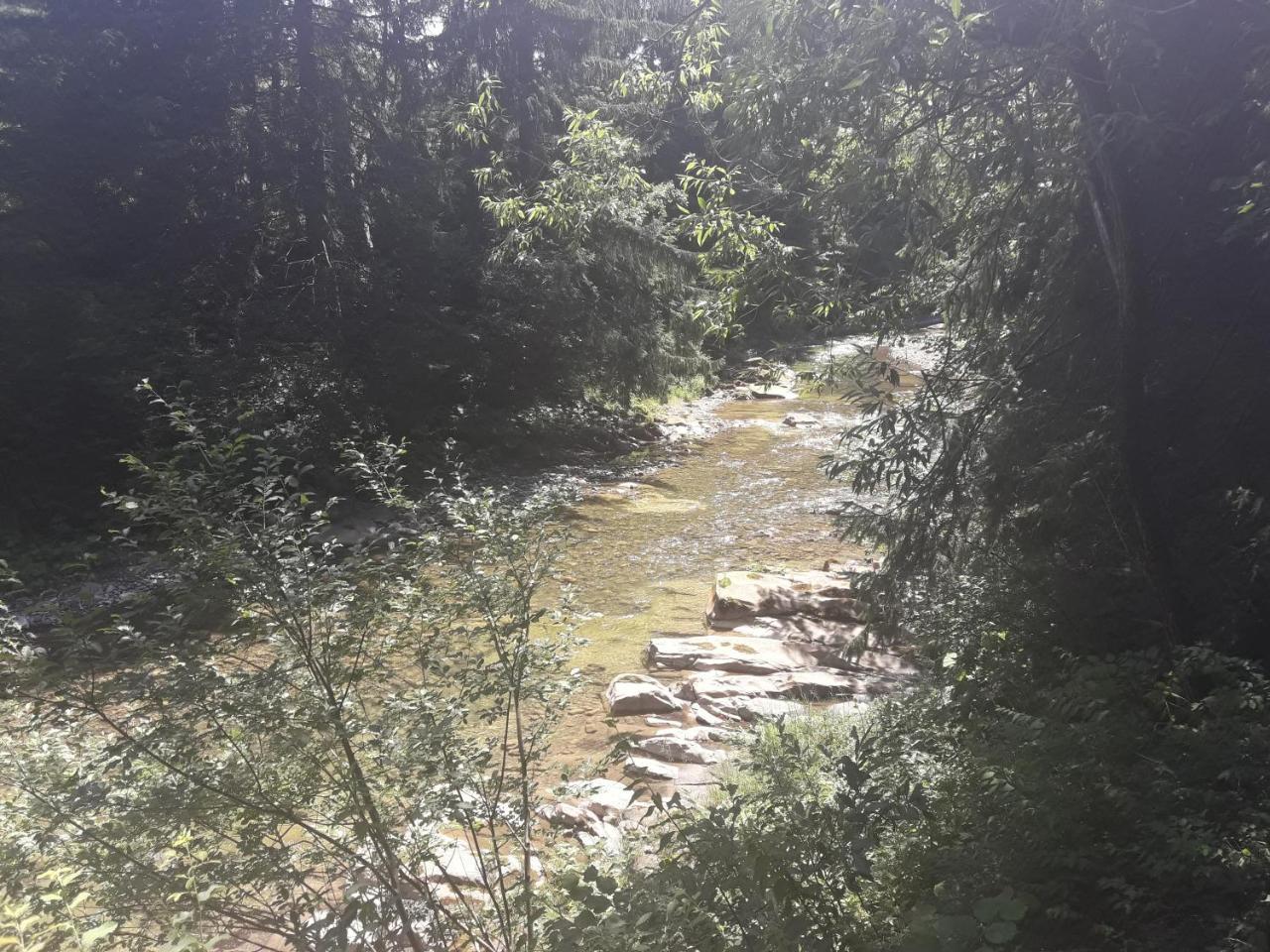 U Anastasii I Sofii Bilya Richki Mykulychyn Exterior foto